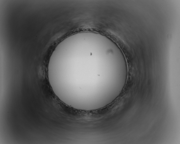 X0000096721207200802191521