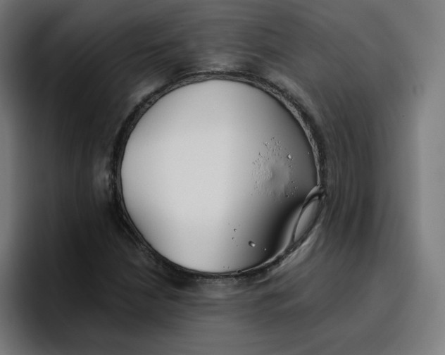 X0000096721210200802191521