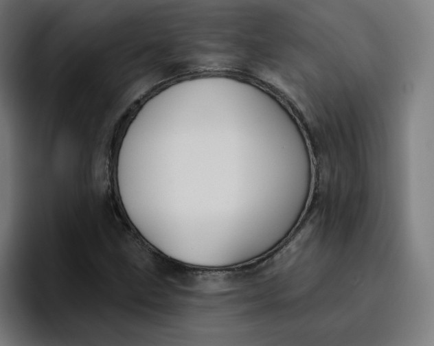 X0000096721211200802191521