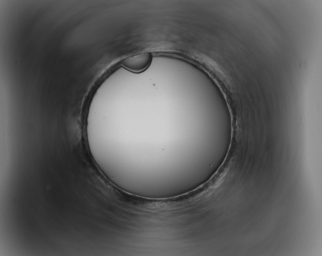 X0000096721212200802191521