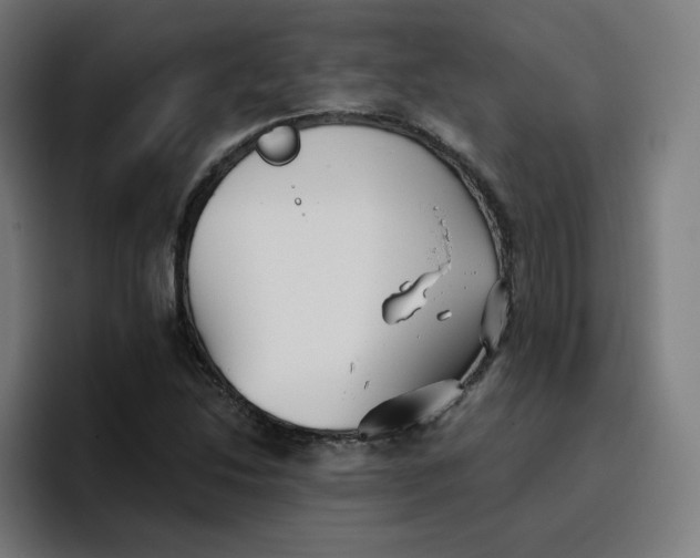 X0000096721214200802191521