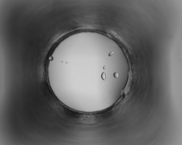 X0000096721215200802191521