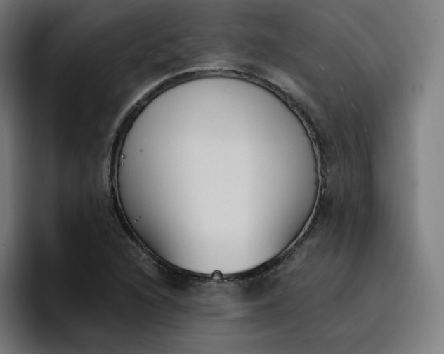 X0000096721216200802191521