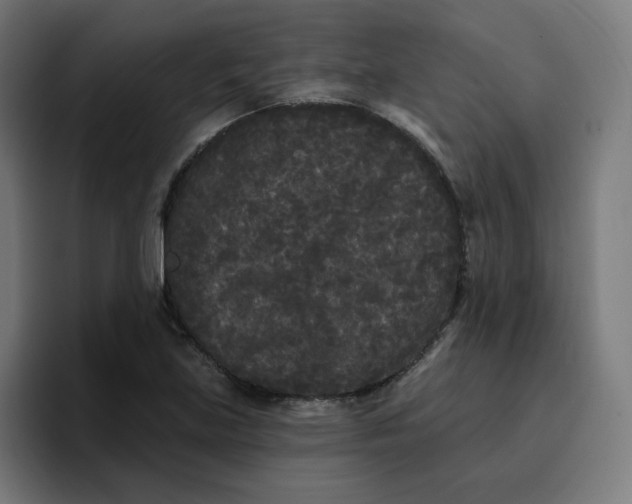 X0000096721219200802191521