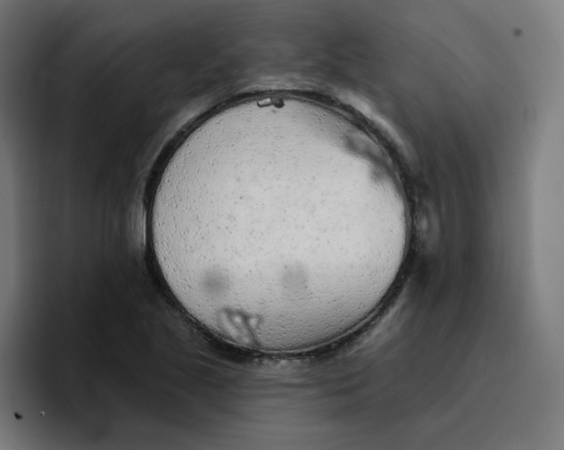 X0000096721221200802191521