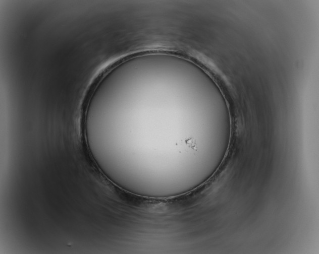 X0000096721222200802191522