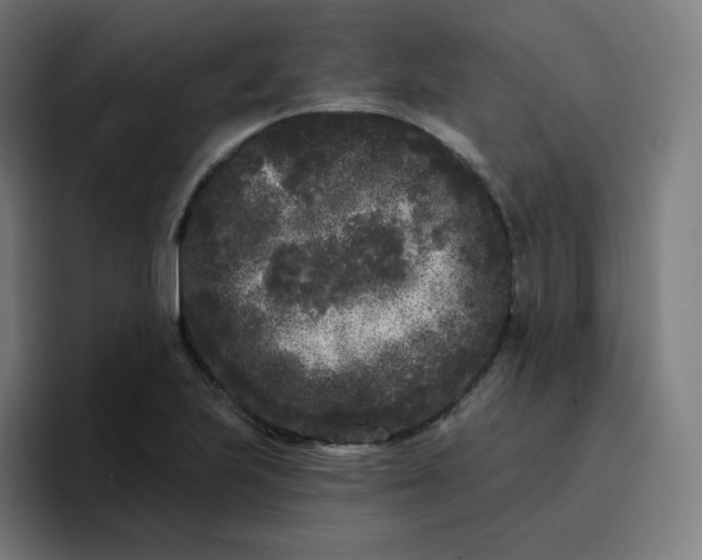 X0000096721223200802191522