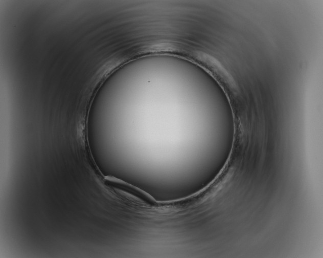 X0000096721225200802191522