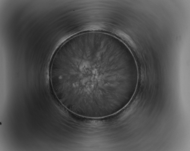 X0000096721226200802191522