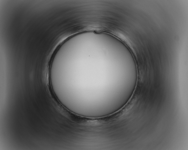 X0000096721227200802191522