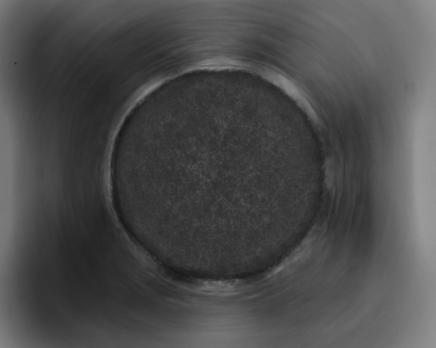 X0000096721229200802191522