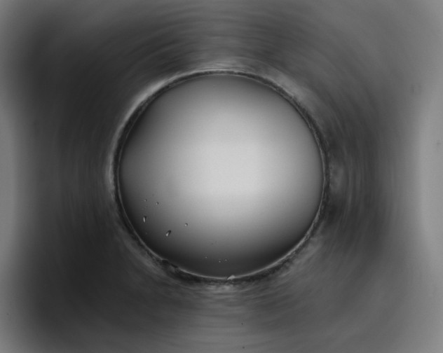 X0000096721230200802191522