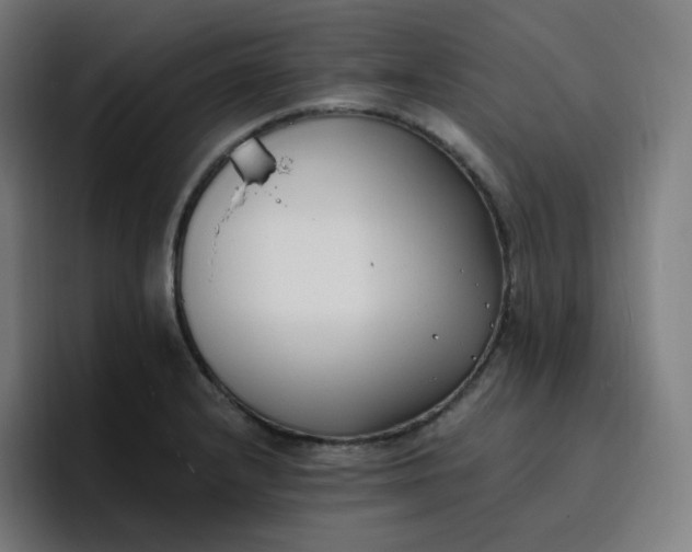 X0000096721232200802191522