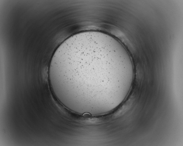 X0000096721233200802191522