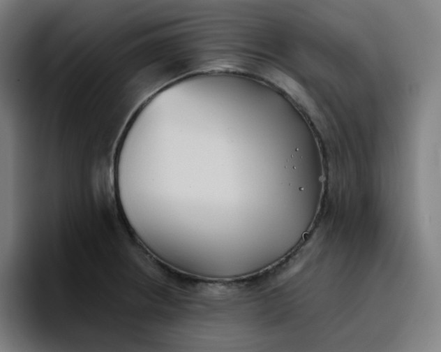 X0000096721234200802191522