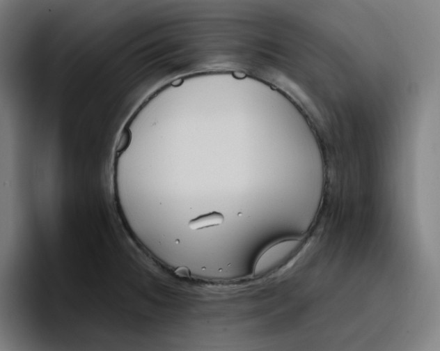 X0000096721236200802191522