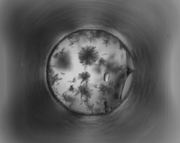 X0000096721237200802191522