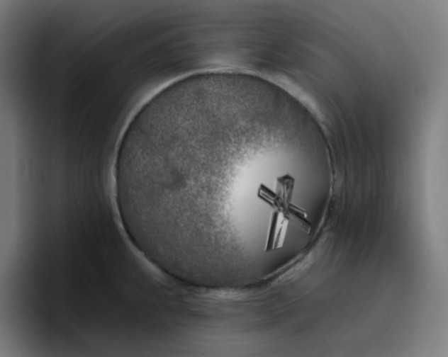 X0000096721239200802191522