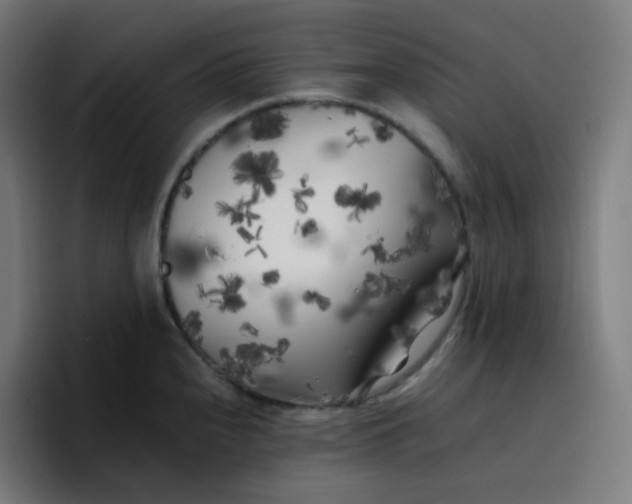 X0000096721240200802191522