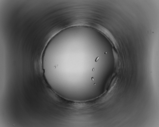 X0000096721242200802191522