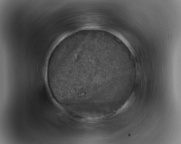 X0000096721245200802191522