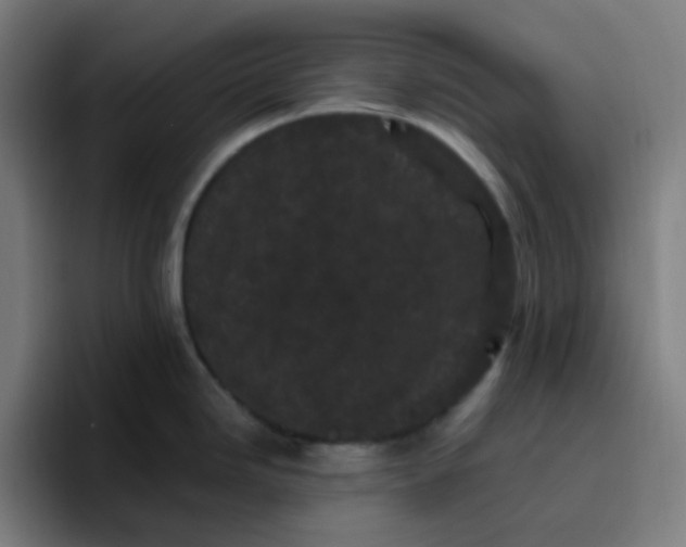 X0000096721246200802191522