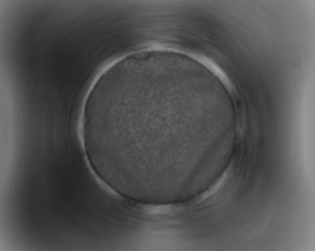 X0000096721247200802191522