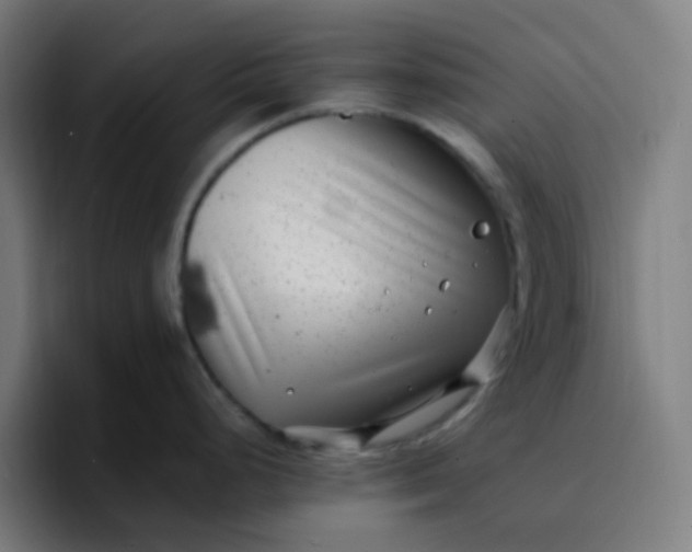 X0000096721248200802191522