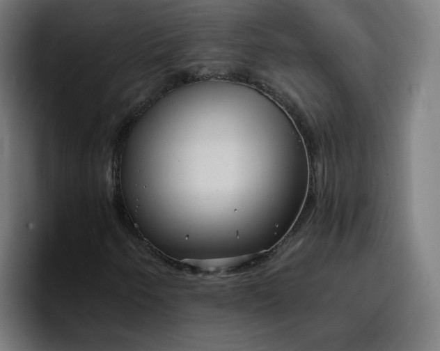 X0000096721250200802191521