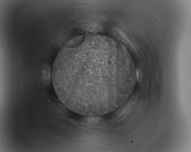 X0000096721251200802191521