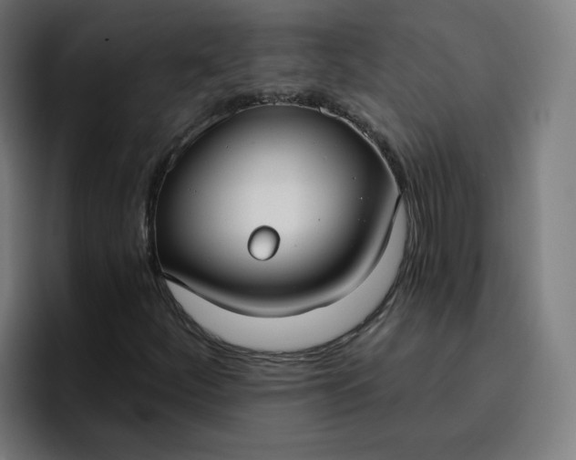 X0000096721252200802191521