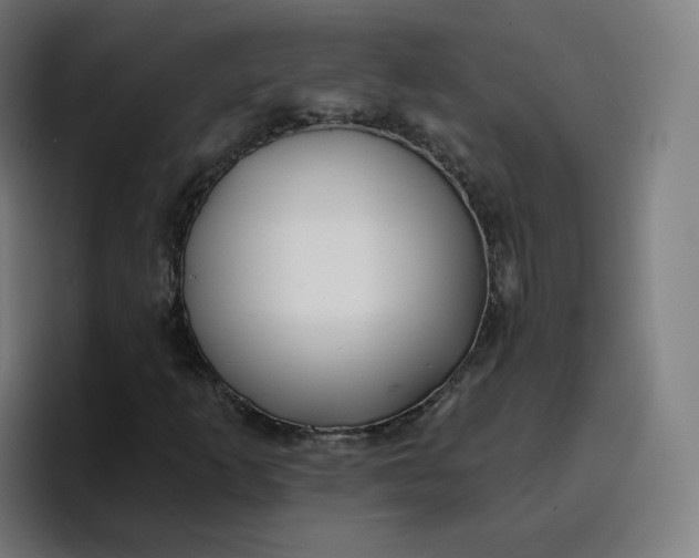 X0000096721253200802191521