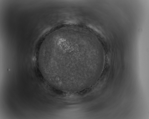 X0000096721254200802191521