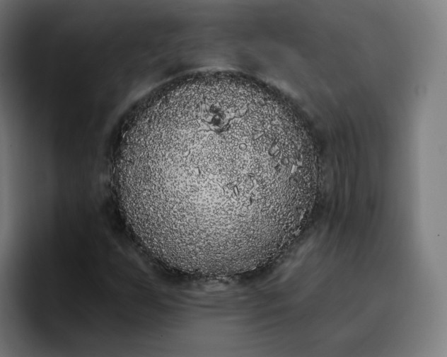 X0000096721255200802191521