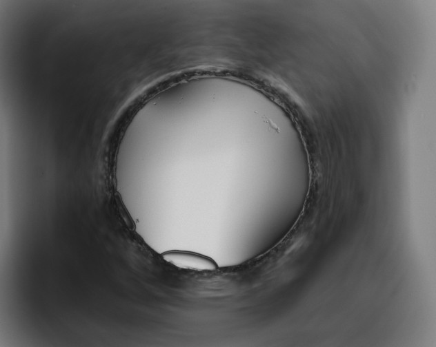 X0000096721256200802191521