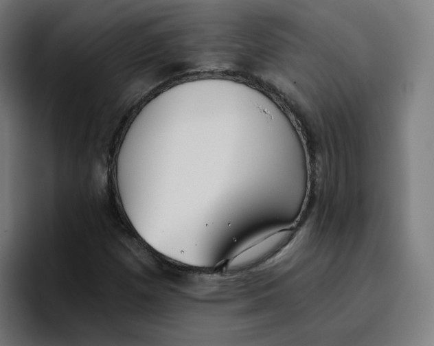 X0000096721257200802191521