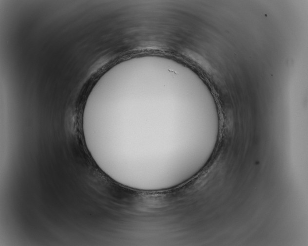 X0000096721258200802191521