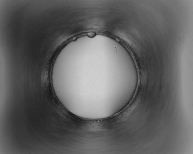 X0000096721259200802191521