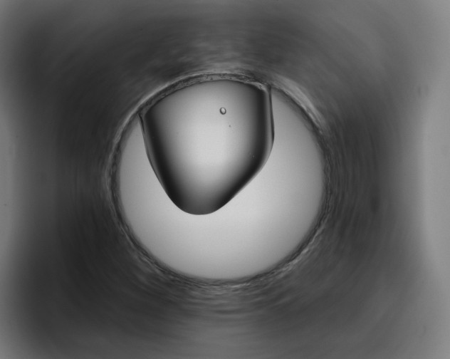 X0000096721260200802191521