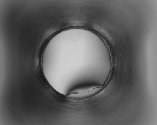 X0000096721261200802191521