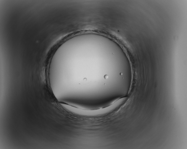 X0000096721262200802191521