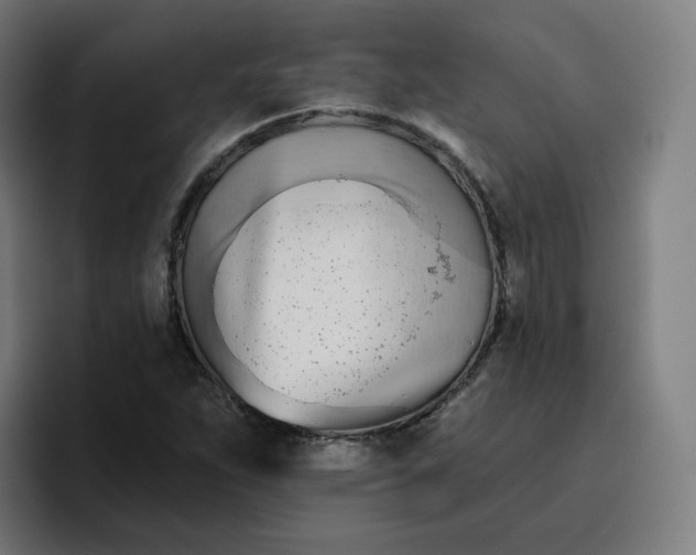 X0000096721263200802191521