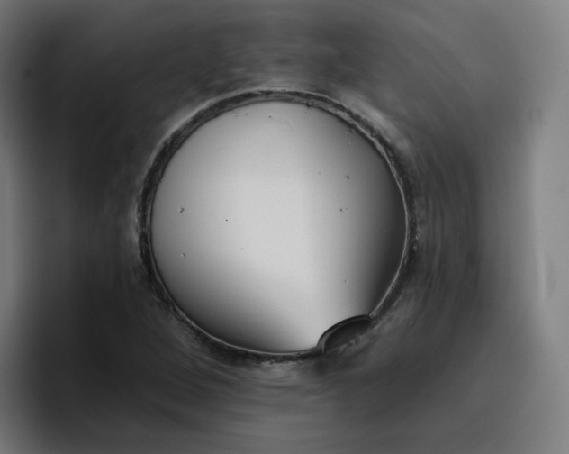 X0000096721264200802191521