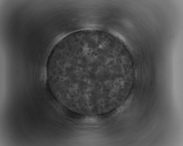 X0000096721267200802191521