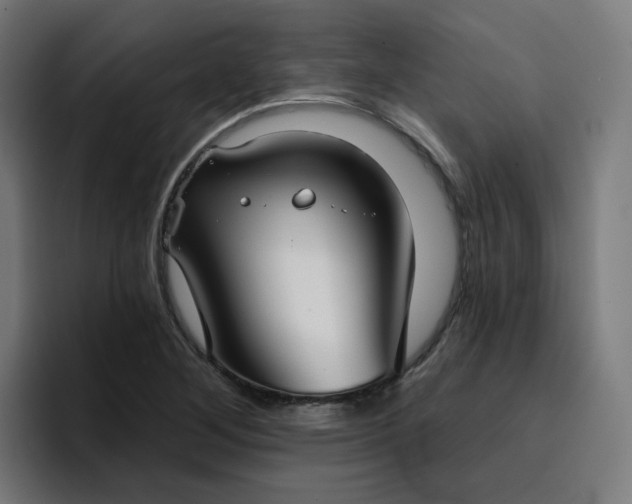 X0000096721268200802191521