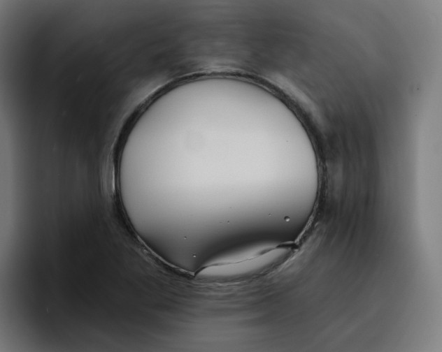 X0000096721269200802191521