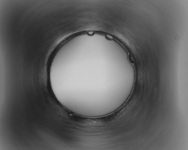 X0000096721270200802191521