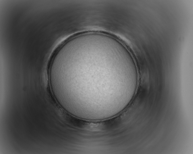 X0000096721271200802191521