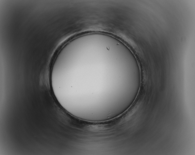 X0000096721272200802191521