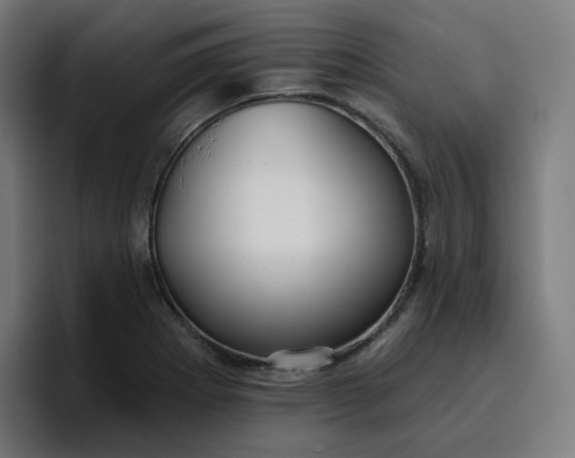 X0000096721273200802191521